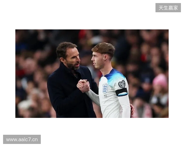 图赫尔谈10号位:一阶段考察帕尔默&福登;二阶段贝林&罗杰斯